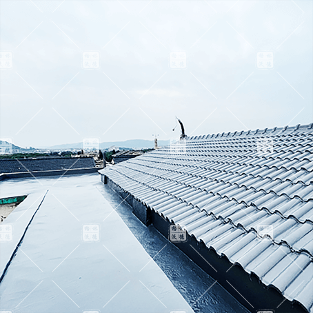 天冬蘑菇视频网页版